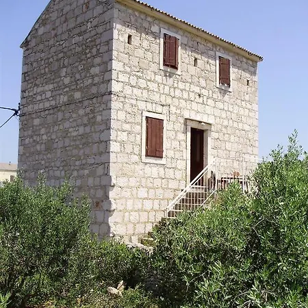 Holiday Tomislav Vikendica *